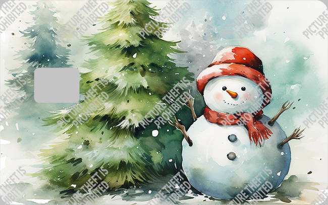 Bank  Card Sticker-BC-2769